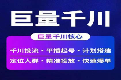 竞价推广中的数据监控与分析：某行业头部企业的成功经验